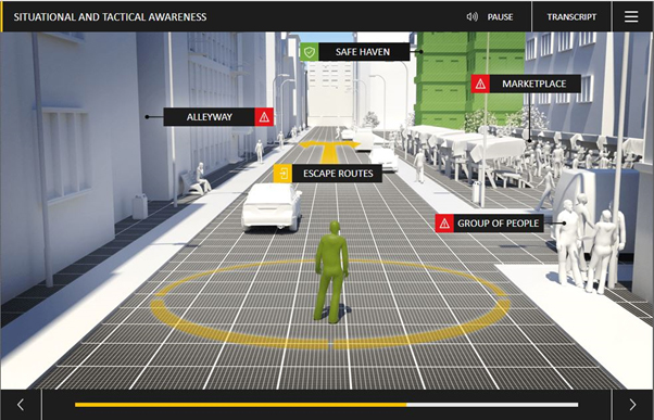 Edson Tiger's Intelligent Travel eLearning Course