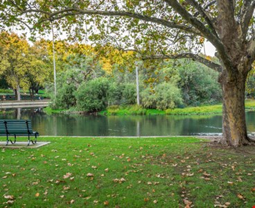 Peaceful Green Hyde Park With Bench by a Tranquil Lake in Autumn