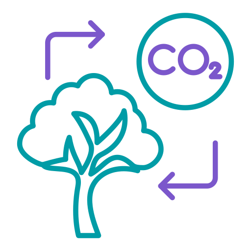 Deliver on your carbon reduction targets