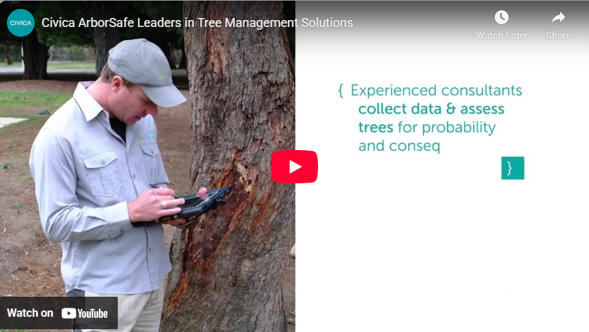 Lachie CU Assessment