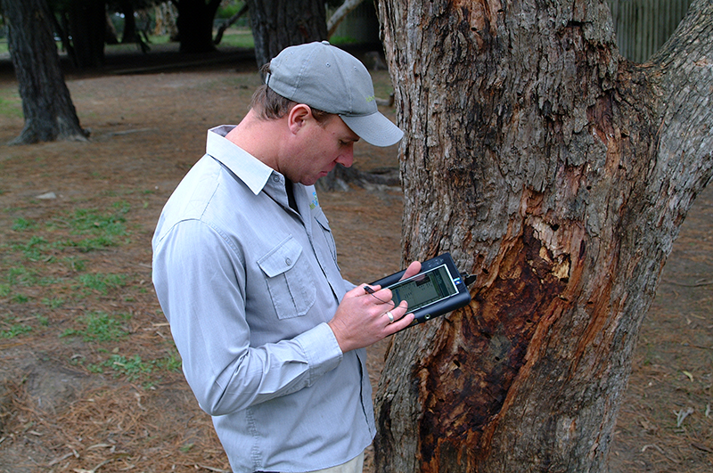 Lachie CU Assessment