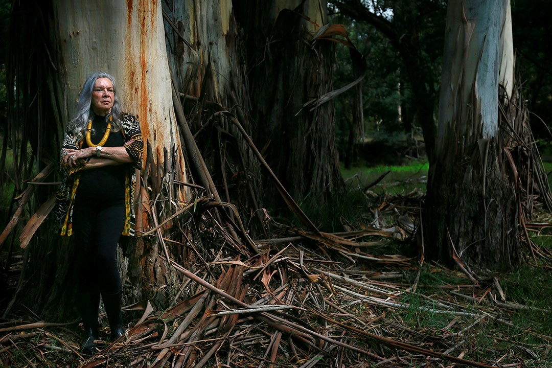 Me_Bushland Wurundjeri Country