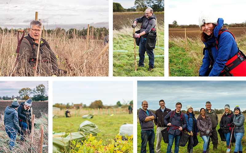 Civica people planting group